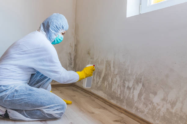 Black mold inspection in Welcome
